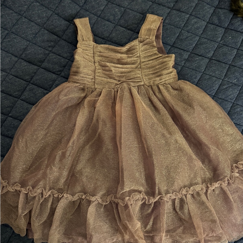 Cherokee Purple and Gold Dress